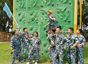 Company Activities